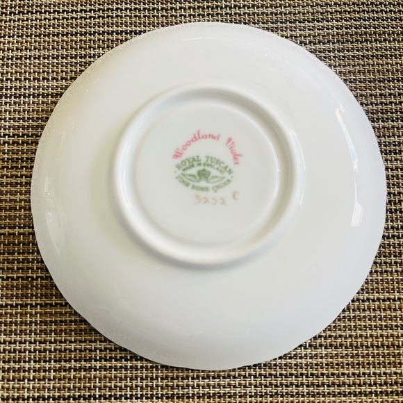 Royal Tuscan Woodland Violet Porcelain Teacup and Saucer Set - Picture 7 of 7